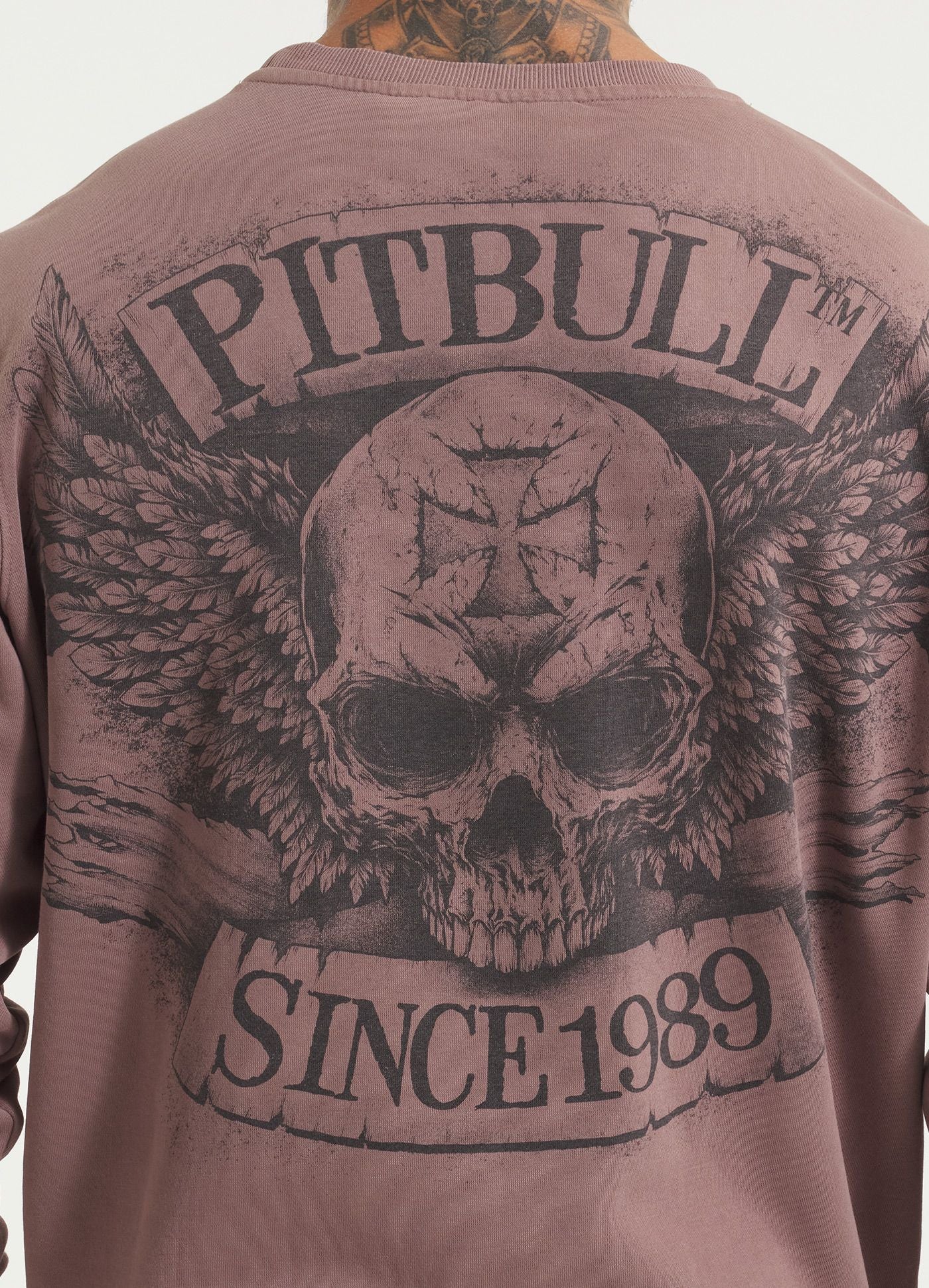 BITE ME CREWNECK SWEATSHIRT WASHED BURGUNDY: imagen 3